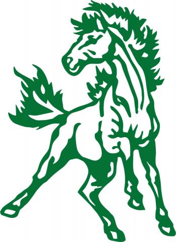 Evergreen Park Mustangs identity mark