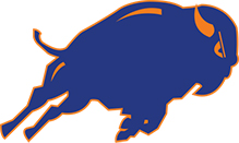 Fenton Bison identity mark