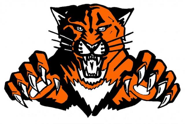 Libertyville Wildcats identity mark