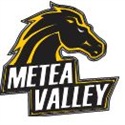 Metea Valley Mustangs identity mark