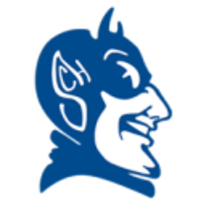 Peotone Blue Devils identity mark
