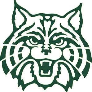 Plainfield Central Wildcats identity mark