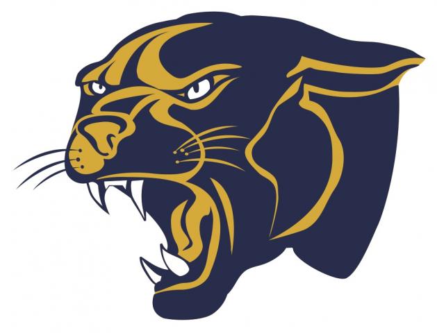 Round Lake Panthers identity mark