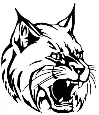 West Chicago Wildcats identity mark