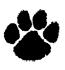 Wheaton Warrenville South Tigers identity mark