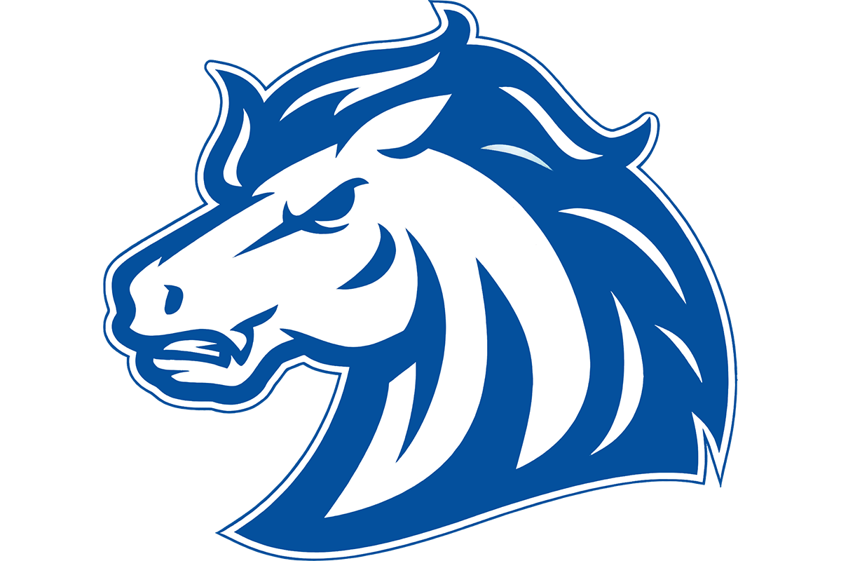 Albemarle School Colts identity mark