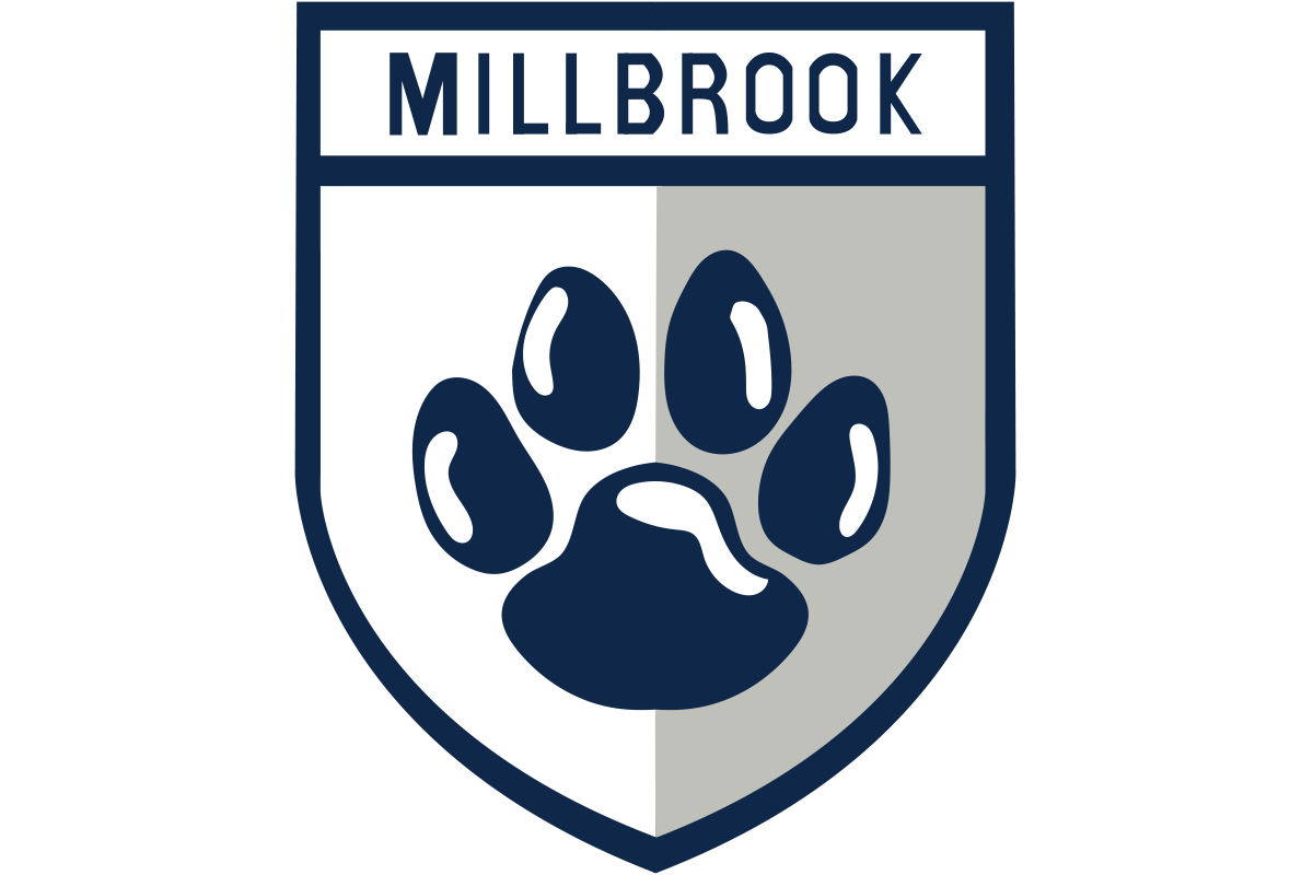 Millbrook Wildcats identity mark