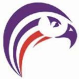 Aiken Falcons identity mark
