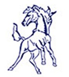 Allen East Mustangs identity mark