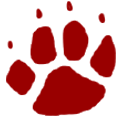 Minerva Lions identity mark