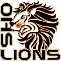 Orange Lions identity mark