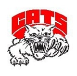 Struthers Wildcats identity mark