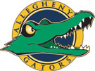 Allegheny-Clarion Valley Falcons identity mark